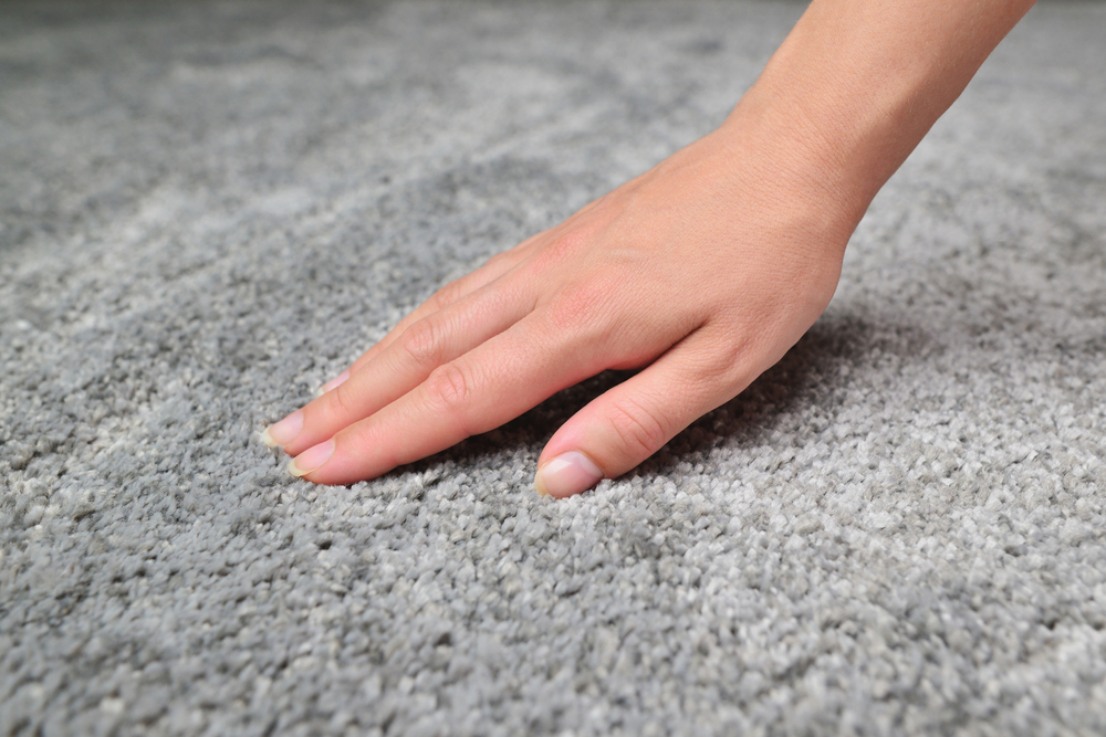 Woman,Touching,Grey,Carpet,,Close,Up.,Close,Up,Of,Hand