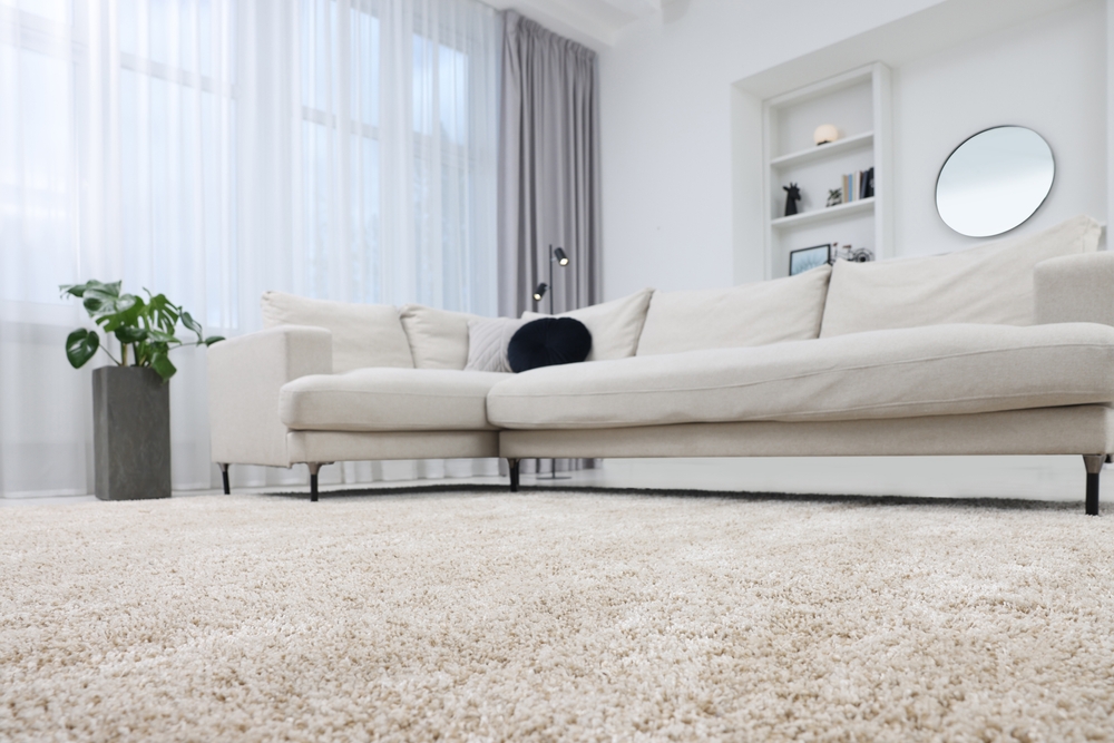 Fluffy,Carpet,And,Stylish,Furniture,On,Floor,Indoors,,Low,Angle