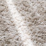 Beige,Color,Domestic,Carpet,Texture,With,Light,Spot,From,Window