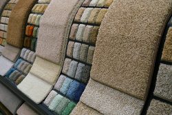 Colorful,Carpet,Samples,In,The,Store