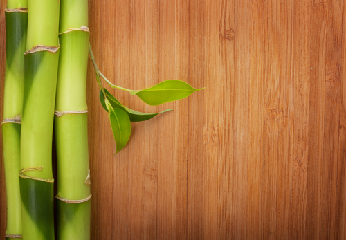 Bamboo,Frame,Made,Of,Stems,On,Wood,Background.