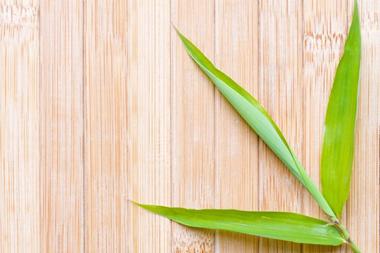 Bamboo Flooring